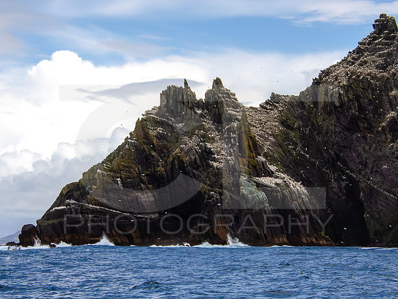 Skellig Islands - Little Skellig 00014