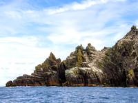 Skellig Islands - Little Skellig 00015