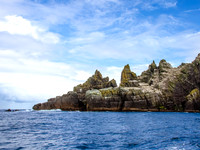 Skellig Islands - Little Skellig 00016
