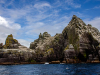Skellig Islands - Little Skellig 00017