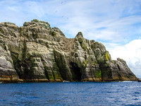 Skellig Islands - Little Skellig 00019