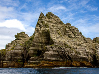 Skellig Islands - Little Skellig 00018