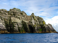 Skellig Islands - Little Skellig 00020