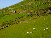 Blasket island Coast 0006