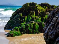 Blasket island Coast 00012