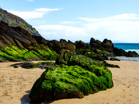 Blasket island Coast 00015