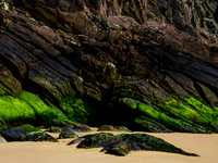 Blasket island Coast 00016