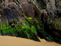 Blasket island Coast 00018