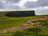 Cliff of Moher 0006