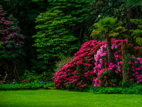 Glen Veagh Natl Pask 0002