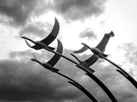Ballycastle - Northern Ireland 0007