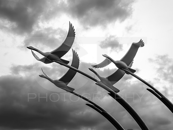 Ballycastle - Northern Ireland 0007