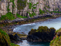 Carrick-A-Rede Rope Bridge 00010