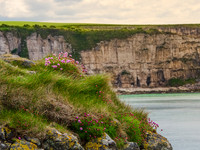 Carrick-A-Rede Rope Bridge 00011