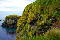 Carrick-A-Rede Rope Bridge 00016