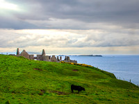 Dunluce Castle