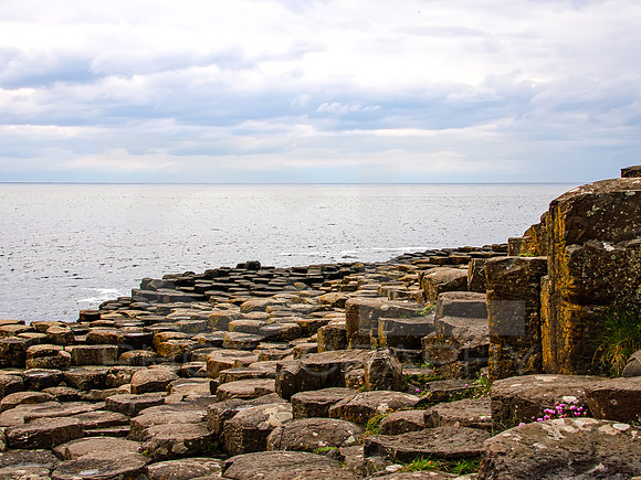 Giant's Causeway 00012