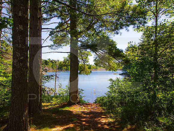 Kingston Lake, UP, MI 0001