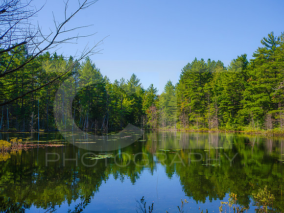 Kingston Lake, UP, MI 0002