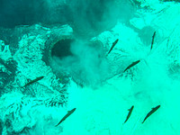 MTS_5765