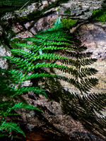 Miners Falls 0001