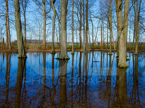 Reflection 0002