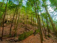 Old Mans Cave 0008