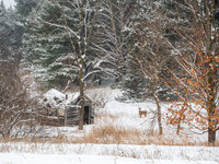 MTS_0833