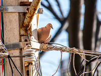 Puerto Vallarta, Mexico 0004