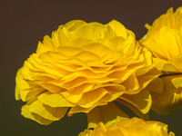 MTS_4795