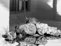 MTS_5836-5