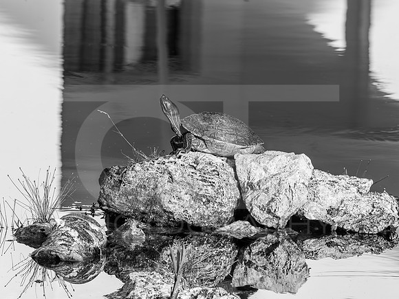 MTS_5836-5