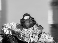 MTS_5841-2