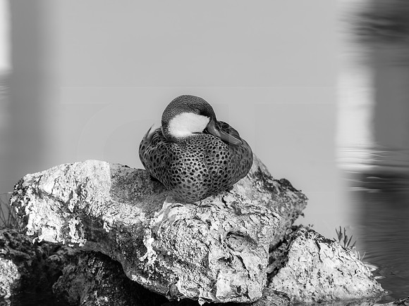 MTS_5841-2