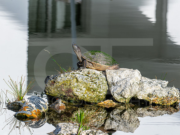 MTS_5836-6