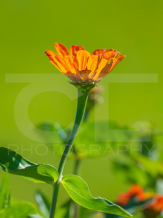 MTS_8494