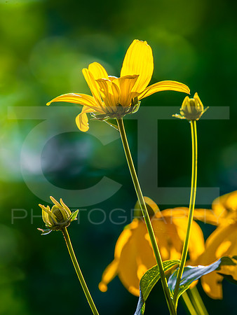 MTS_8235