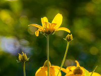 MTS_8278-2