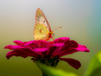 MTS_3489-2