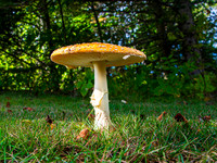 MTS_0670