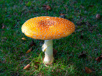 MTS_0686-2