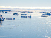 MTS_2367-2