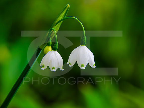 MTS_3624