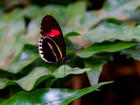 MTS_3827