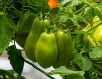 MS1_6926
