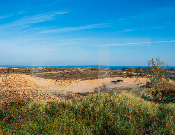 MS2_5584