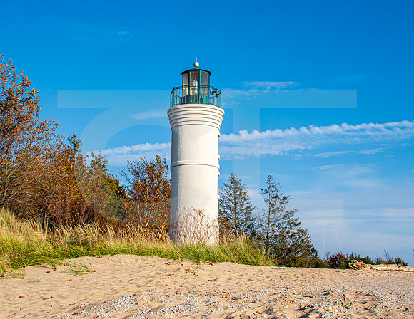 MS2_6379-2
