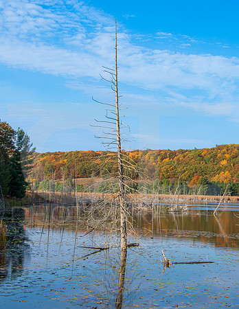 MS2_6268