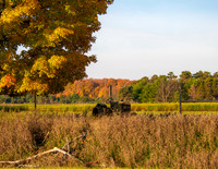 MS2_5243-2