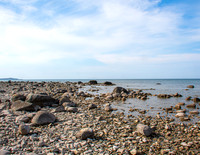MS2_6121